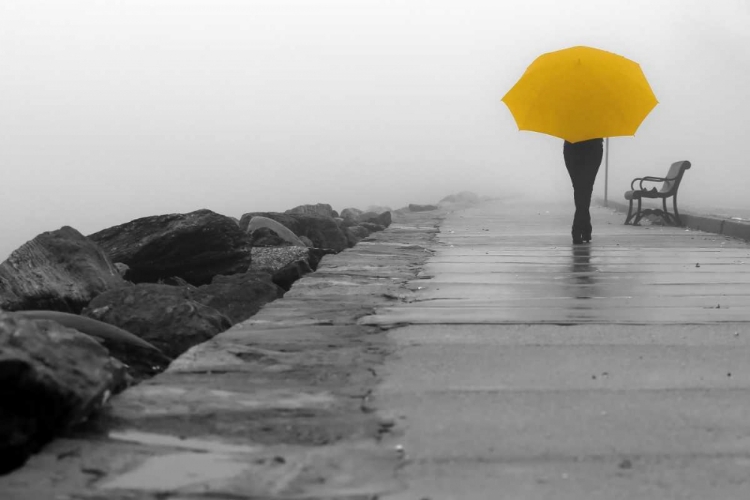 Picture of WALKING IN THE RAIN