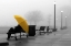 Picture of SITTING IN THE RAIN