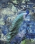 Picture of PEACOCK JUNGLE SEA