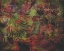 Picture of ORIENTAL MOSS 1
