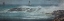 Picture of COASTAL DRIFT WOOD