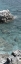 Picture of HIDDEN PARADISE 2