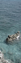 Picture of HIDDEN PARADISE 3