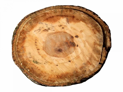 Picture of EARTHY RINGS OF AGES