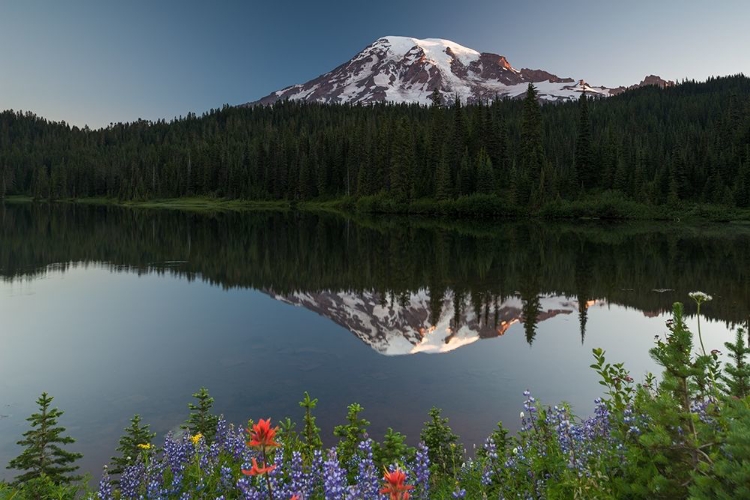 Picture of ALPINE REFLECTIONS