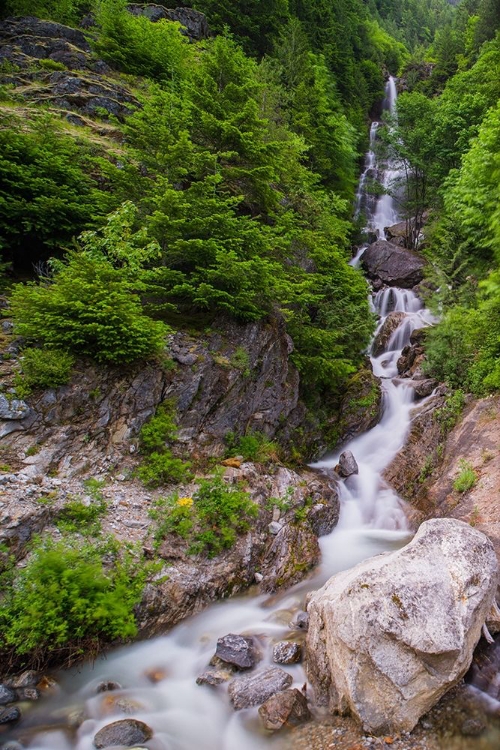 Picture of DOWN THE WATERFALL