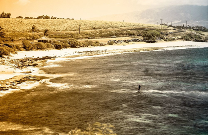 Picture of SEPIA BEACH