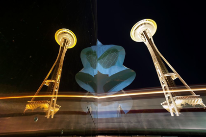 Picture of SPACE NEEDLE DUALITY