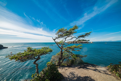 Picture of BLUFF VIEWPOINT