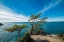 Picture of BLUFF VIEWPOINT