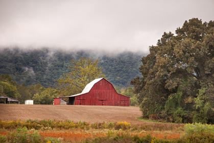 Picture of MISTY BARN