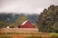 Picture of MISTY BARN