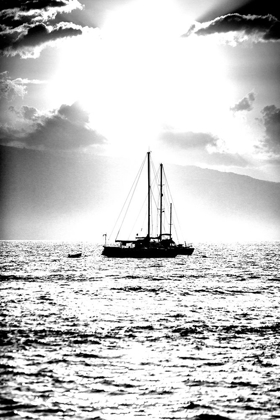 Picture of SAILBOAT SUNBEAMS V1