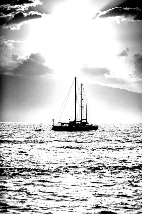 Picture of SAILBOAT SUNBEAMS V1