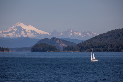 Picture of MT. RAINIER AND THE SAILBOAT