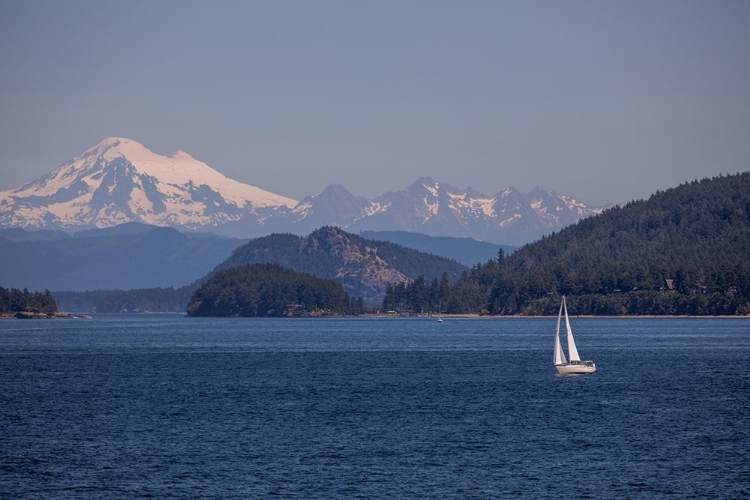 Picture of MT. RAINIER AND THE SAILBOAT