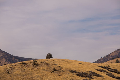 Picture of CALIFORNIA HEADLANDS