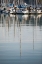 Picture of HARBOR REFLECTIONS