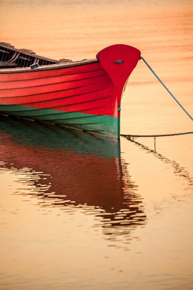 Picture of RED REFLECTIONS