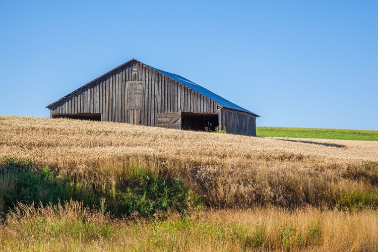 Picture of THE GRAY BARN