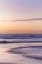 Picture of LAVENDAR WAVES
