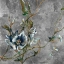 Picture of HIDDEN BEAUTY I