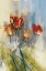 Picture of TULIPS