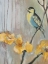 Picture of BLUEBIRD II