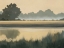 Picture of GOLDEN GLOW