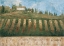 Picture of RUSTIC TUSCANY