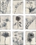 Picture of SILK BOTANICALS