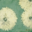 Picture of FLORAL CACHE II