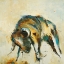 Picture of TORO
