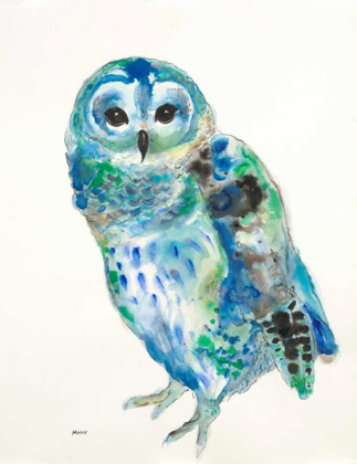 Picture of BLUE OWL