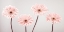 Picture of FOUR GERBERAS, FTBR-1885