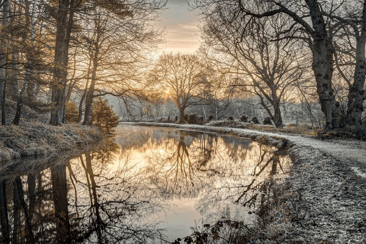 Picture of FROSTY MORNING