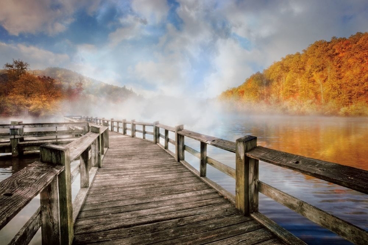 Picture of DANCING FOG AT THE LAKE