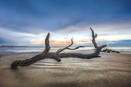 Picture of BONES BEACH