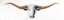Picture of LONGHORN