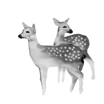 Picture of BLACK AND WHITE FAWNS