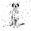 Picture of DALMATIAN DOG