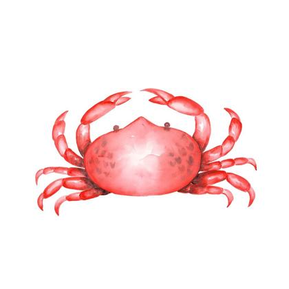 Picture of CRAB