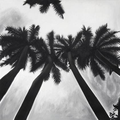 Picture of MONOCHROME PALM TREES