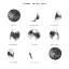 Picture of PHASES OF THE MOON