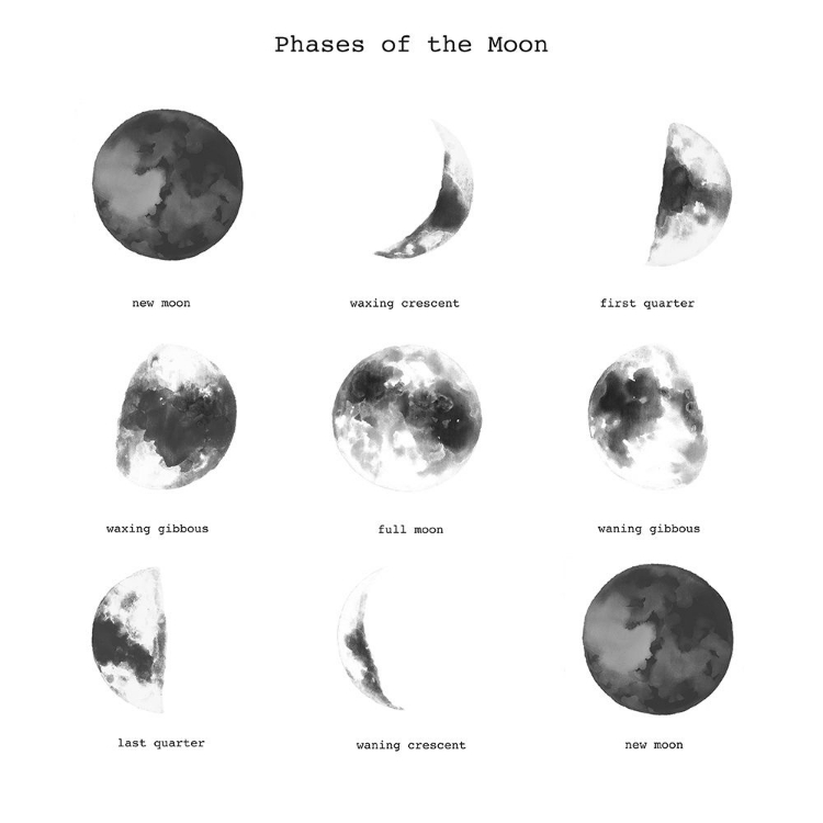 Picture of PHASES OF THE MOON