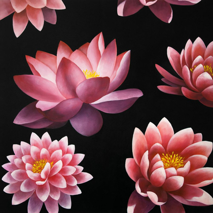 Picture of LOTUS FLOWER PATTERN