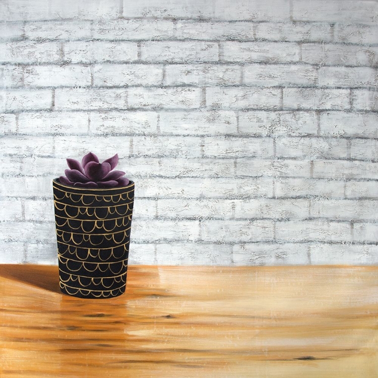 Picture of SUCCULENT IN A POT