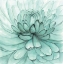 Picture of TURQUOISE FLOWER