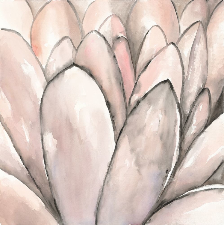 Picture of BLUSH PINK FLOWER