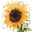 Picture of BIG SUNFLOWER